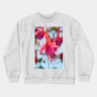 Fuchsia &#39;Pink Fizz&#39; Crewneck Sweatshirt